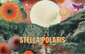 Membresía  Stella Polaris
